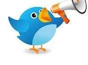 1.300 seguidores Twitter