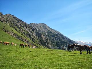 Ruta circular per la Vall de Boí (Erill la Vall i Collada de Basco)