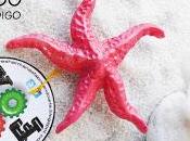 Concha, lava arcilla polimérica.