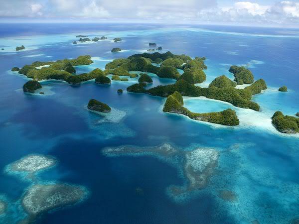 Street View Océanos: Google enseña imágenes en 360 grados de arrecifes de coral