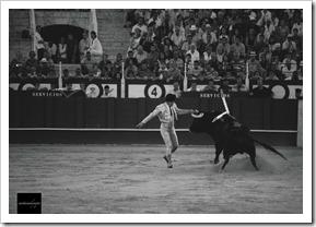 Mbow3Vi2XTZ7UsT8S63muWHi1zu2Uld4t6NgLuY_5sM