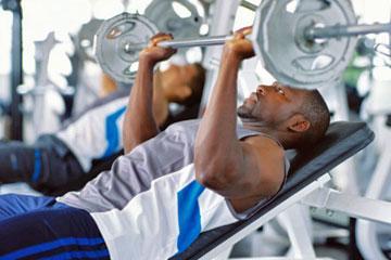 Metabolismo humano y el ejercicio