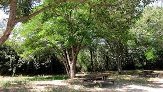 Camino Natural de La Alfranca, Zaragoza, Polidas chamineras