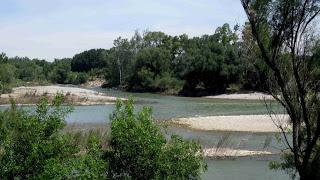 Confluencia río Gállego y Ebro, Zaragoza, Polidas chamineras