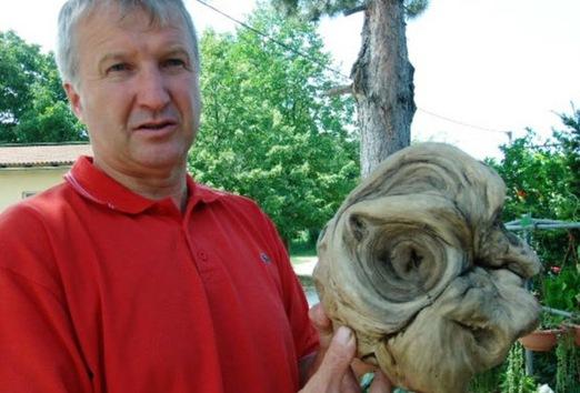 Dudosas informaciones sobre hallazgos de extraterrestres invaden los medios