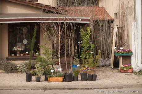 Tandil, un lugar con historia 12-6-3