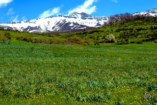 Viaje a través de la Montaña Palentina: El silencio (y IV)