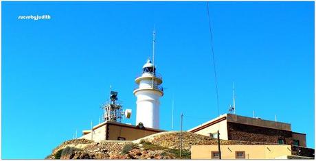 IMAGES OF SUMMER IMAGES OF SUMMER