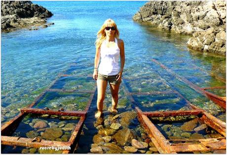 IMAGES OF SUMMER IMAGES OF SUMMER