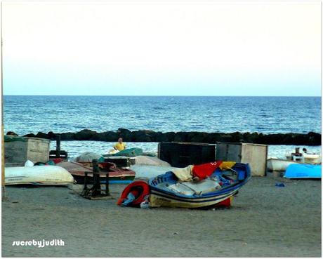 IMAGES OF SUMMER IMAGES OF SUMMER