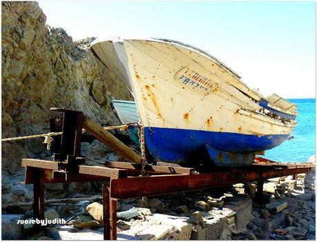 IMAGES OF SUMMER IMAGES OF SUMMER