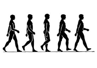 CÓMO CAMINAR EN FORMA CORRECTA