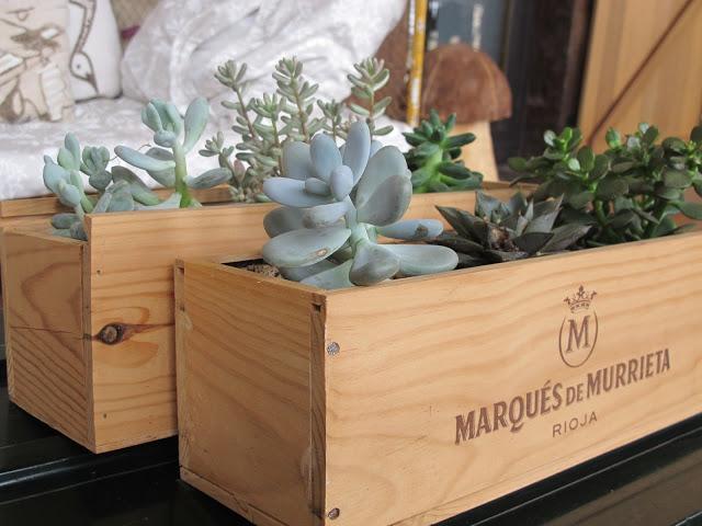 Cajas de vino para mis plantas