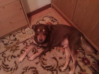 Cómo se hace KindleGarten Cómo se hace KindleGarten