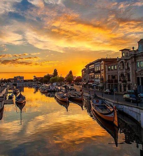 Unos días de descanso, la librería más bella del mundo y otras cosas