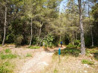 Ruta por el Baix Penedès: l'Arboç - el Castellet - pantà del Foix - font de l'Horta - l'Arboç