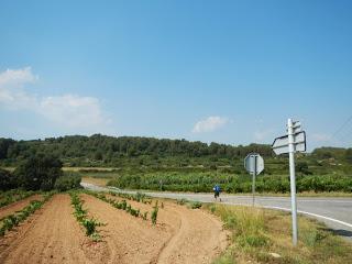 Ruta por el Baix Penedès: l'Arboç - el Castellet - pantà del Foix - font de l'Horta - l'Arboç