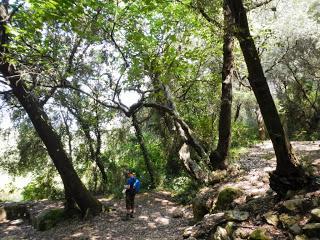 Ruta por el Baix Penedès: l'Arboç - el Castellet - pantà del Foix - font de l'Horta - l'Arboç