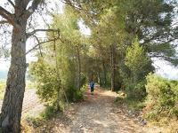Ruta por el Baix Penedès: l'Arboç - el Castellet - pantà del Foix - font de l'Horta - l'Arboç
