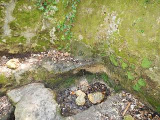 Ruta por el Baix Penedès: l'Arboç - el Castellet - pantà del Foix - font de l'Horta - l'Arboç
