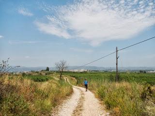 Ruta por el Baix Penedès: l'Arboç - el Castellet - pantà del Foix - font de l'Horta - l'Arboç