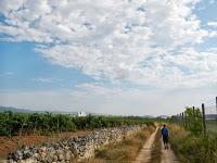 Ruta por el Baix Penedès: l'Arboç - el Castellet - pantà del Foix - font de l'Horta - l'Arboç