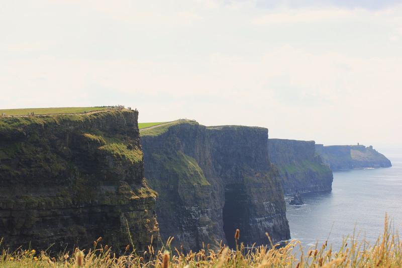 Image Hosted by ImageShack.us