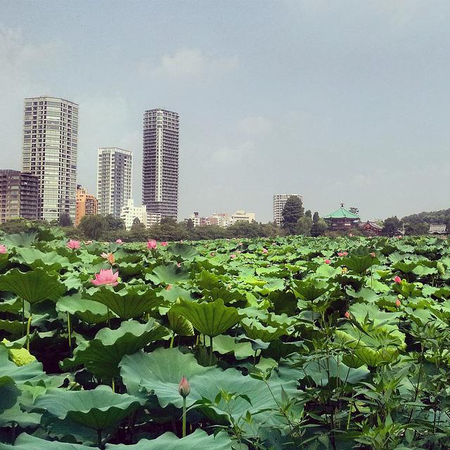 Fotos del viaje a Japón 2013 en Instagram Vol 3