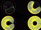 ¿Sabías expertos consideran Tierra tiene segunda Luna? tratarán conquistarla