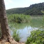 Laguna San Pedro a pie de carretera