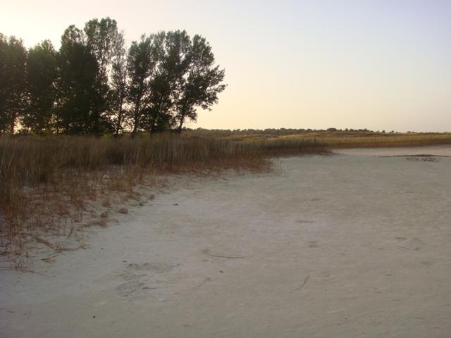 La Laguna Blanca en 2012