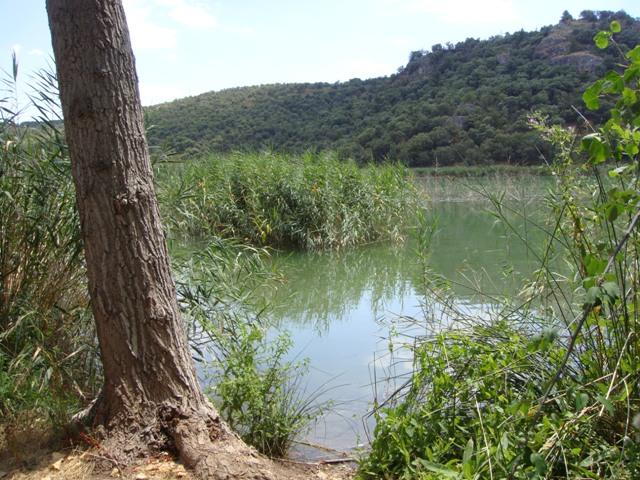 Laguna San Pedro a pie de carretera