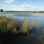 La Laguna Blanca en 2013