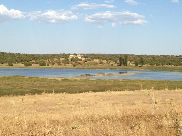 La Laguna Blanca en 2013