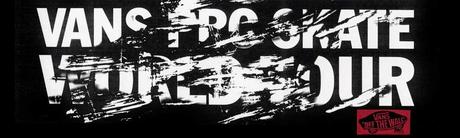 Vans pro skater world tour
