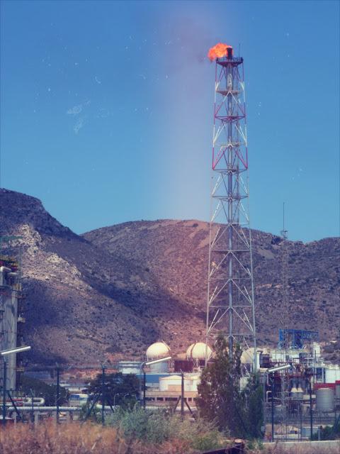 Alameda Tapas en Cartagena