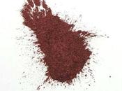 ¡...Y polvo convertirás!