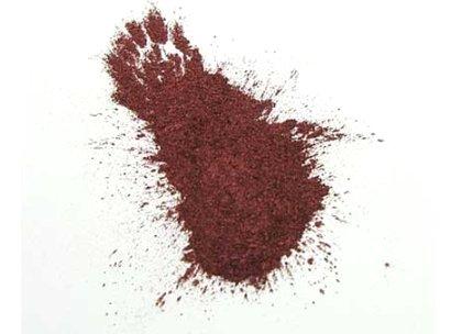 ¡...Y en polvo te convertirás!