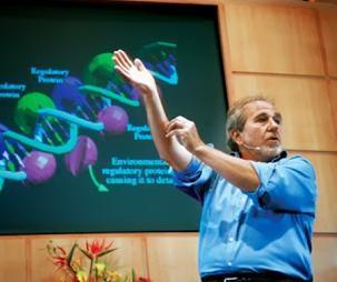 Lecciones que nos da la Vida: Los pensamientos curan mucho más que los medicamentos