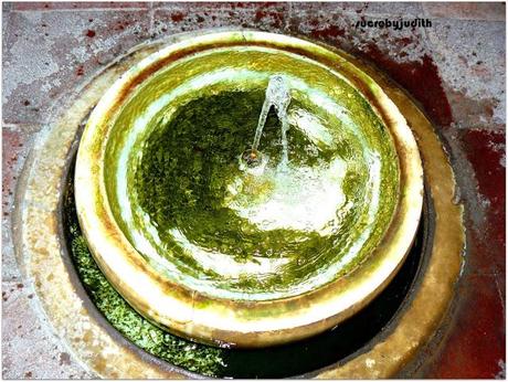 TOTAL LOOK MANGO TOTAL LOOK MANGO