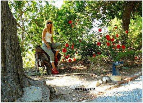 TOTAL LOOK MANGO TOTAL LOOK MANGO