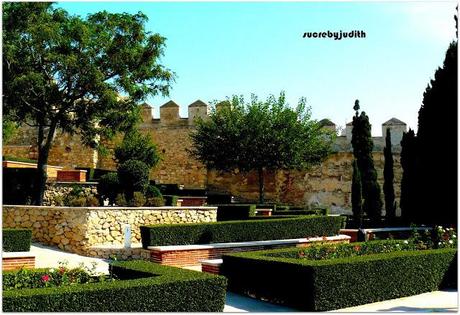 TOTAL LOOK MANGO TOTAL LOOK MANGO