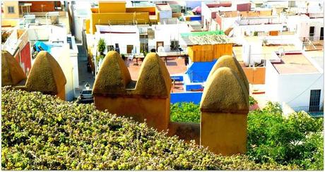 TOTAL LOOK MANGO TOTAL LOOK MANGO