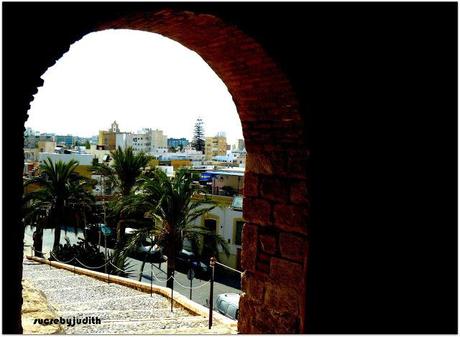 TOTAL LOOK MANGO TOTAL LOOK MANGO