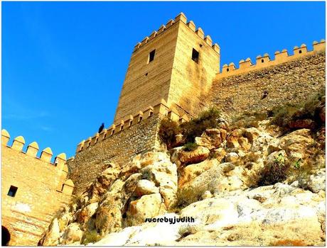 TOTAL LOOK MANGO TOTAL LOOK MANGO