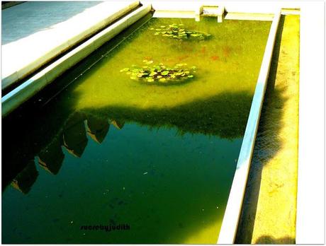 TOTAL LOOK MANGO TOTAL LOOK MANGO