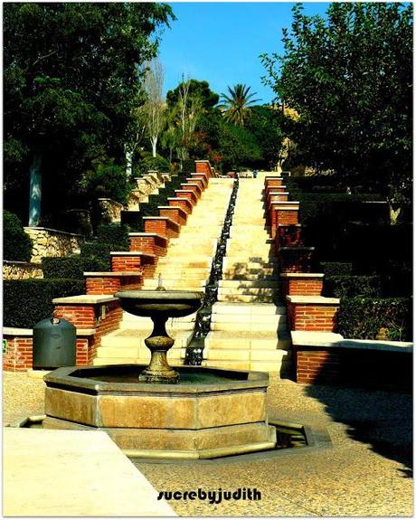 TOTAL LOOK MANGO TOTAL LOOK MANGO