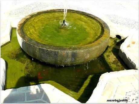 TOTAL LOOK MANGO TOTAL LOOK MANGO