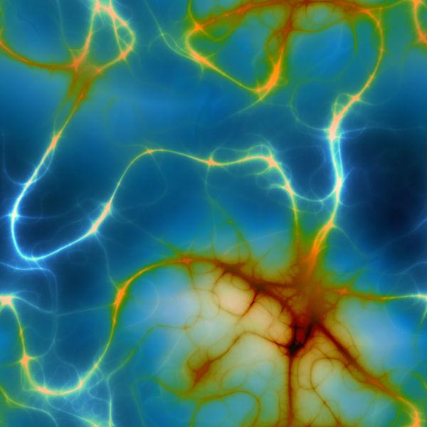 774 neuron connection pattern l ¿Existe un cerebro emocional?