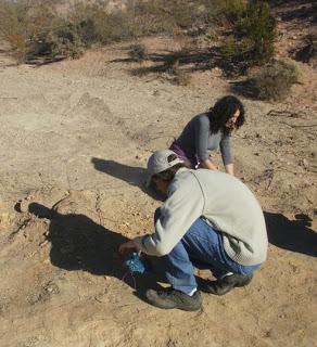Con voluntad de Roca